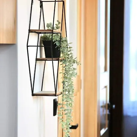 Nad Zapora Apartment